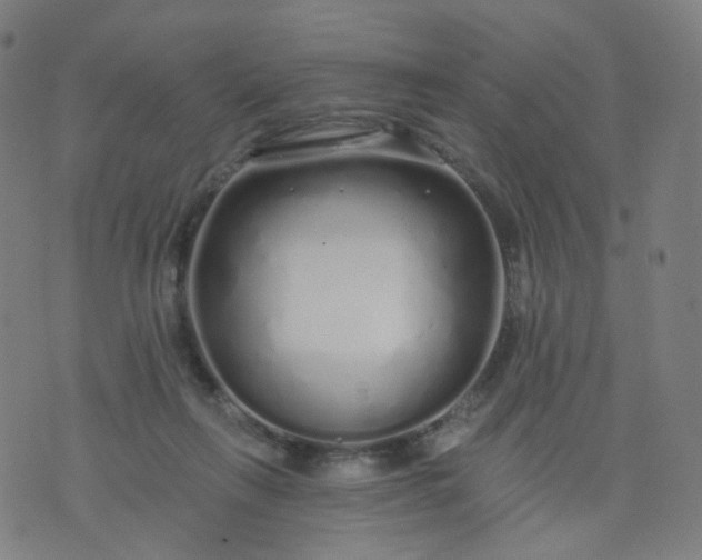 X0000074280263200609081834