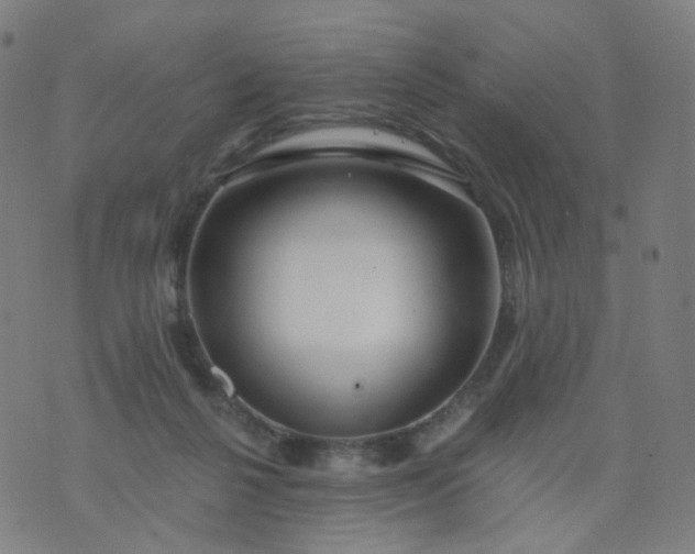 X0000074280264200609081834