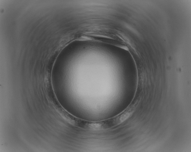 X0000074280265200609081834