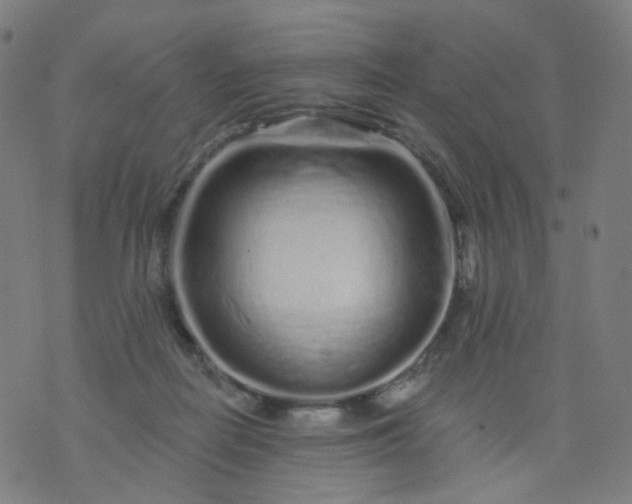 X0000074280266200609081834