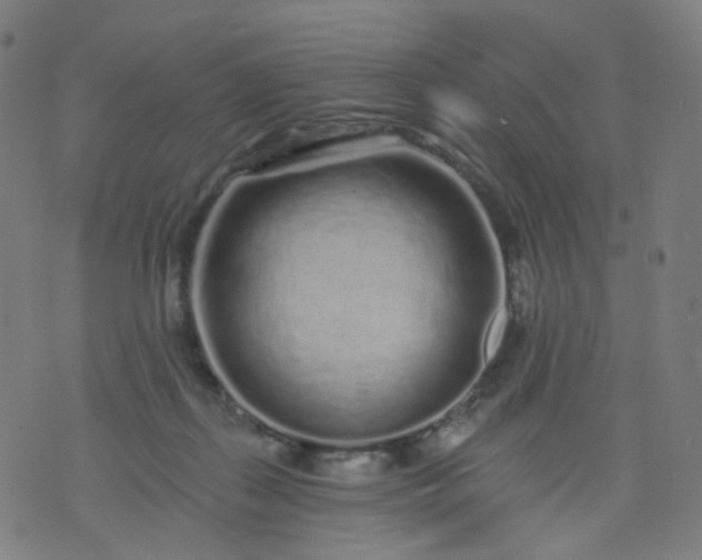 X0000074280267200609081834