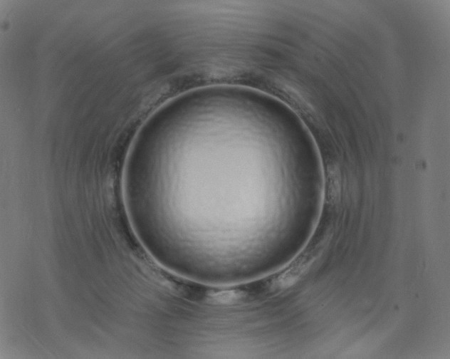 X0000074280269200609081834