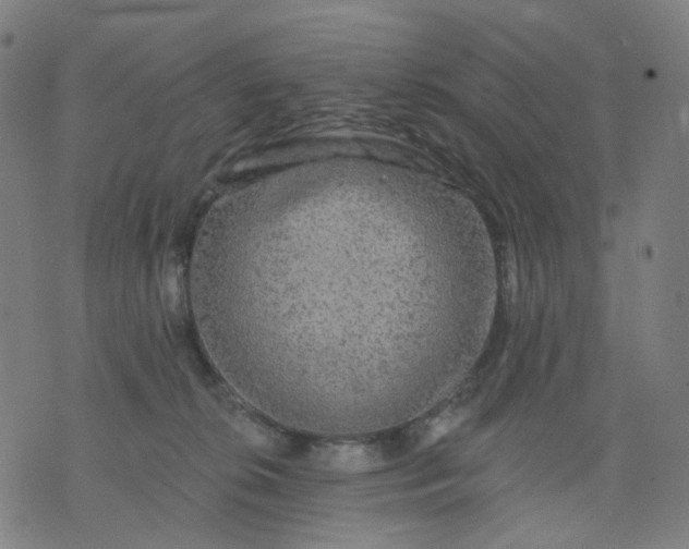 X0000074280276200609081834