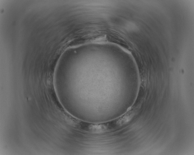 X0000074280277200609081834