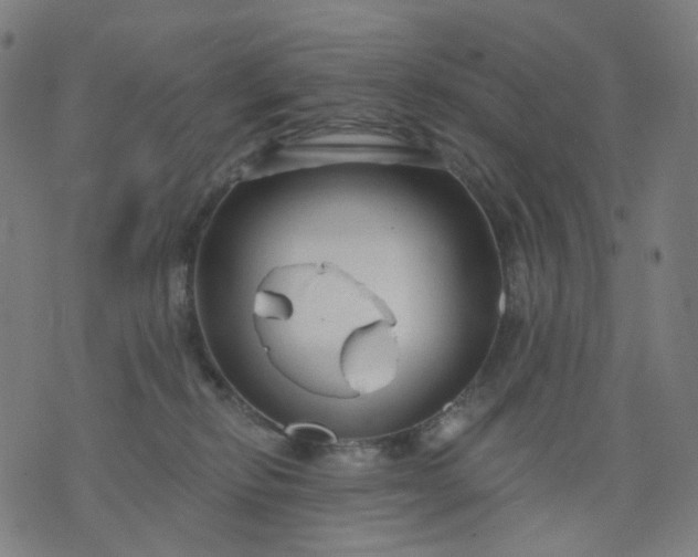 X0000074280278200609081834