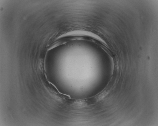 X0000074280280200609081834