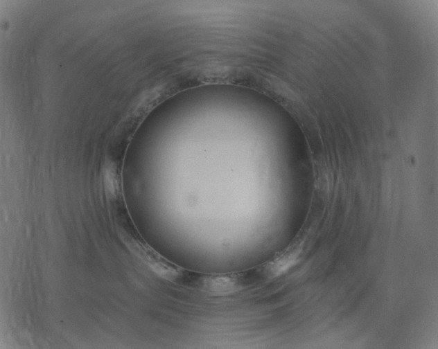 X0000074280287200609081835