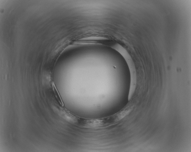 X0000074280288200609081835