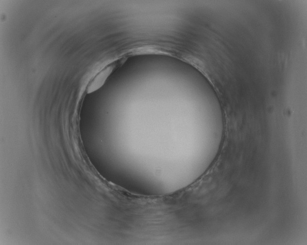 X0000074280289200609081834