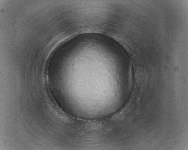 X0000074280290200609081834