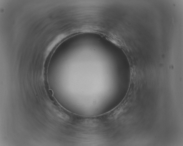 X0000074280292200609081834