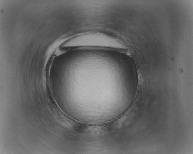 X0000074280294200609081834