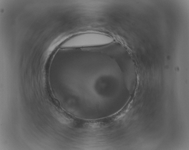 X0000074280295200609081834