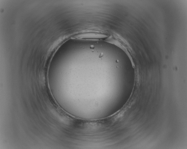 X0000074280298200609081834