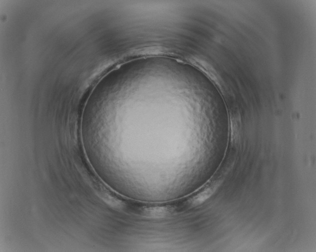 X0000074280301200609081834