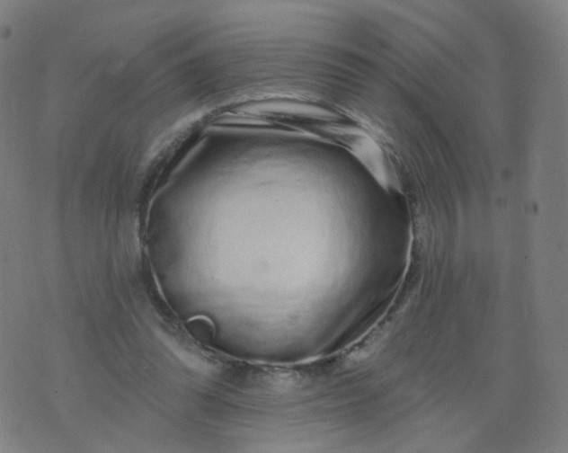 X0000074280302200609081834