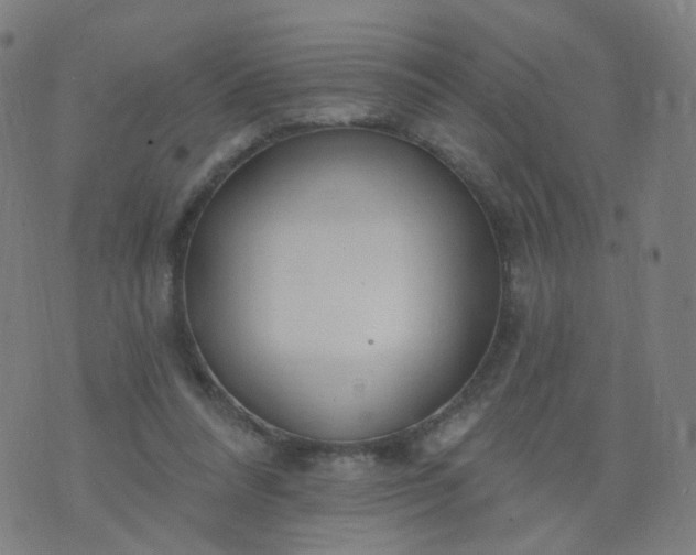 X0000074280304200609081834