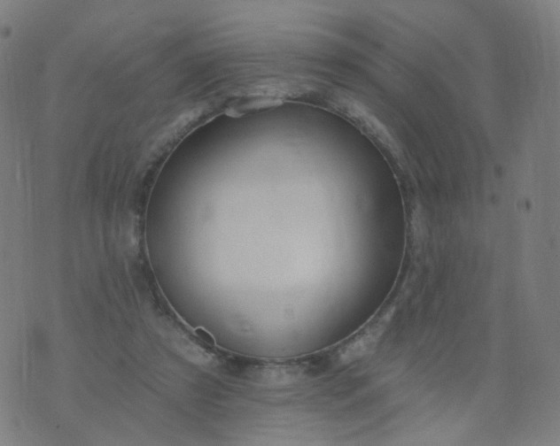 X0000074280305200609081834