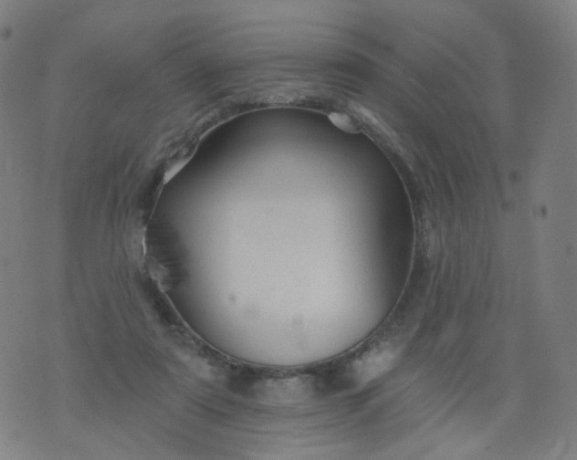 X0000074280307200609081833