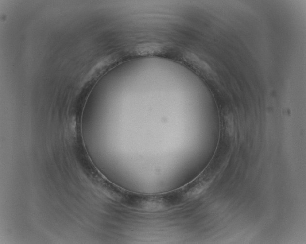 X0000074280308200609081833