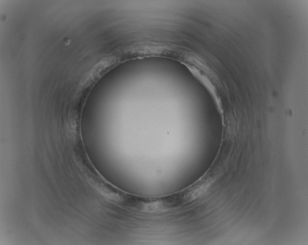 X0000074280309200609081833