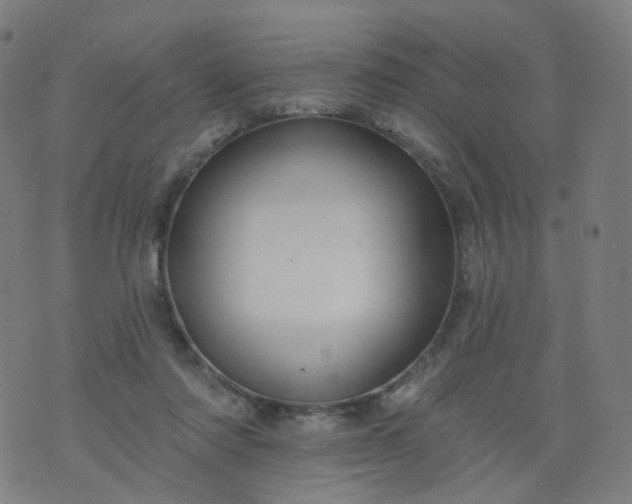 X0000074280310200609081833