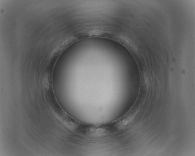 X0000074280311200609081833