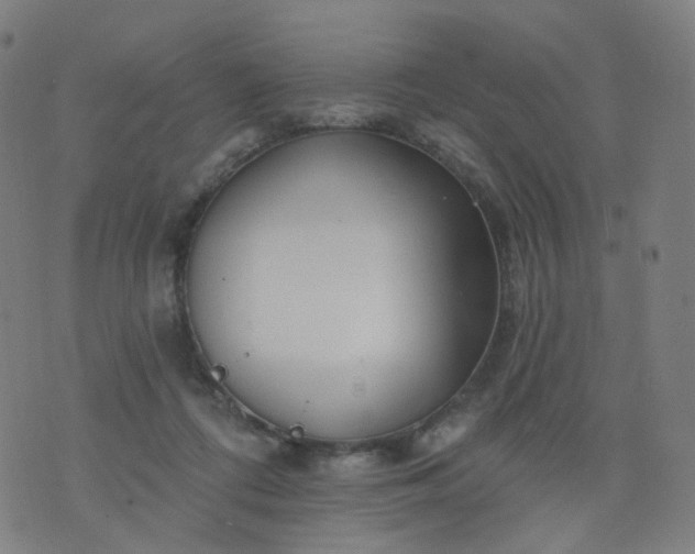 X0000074280312200609081833