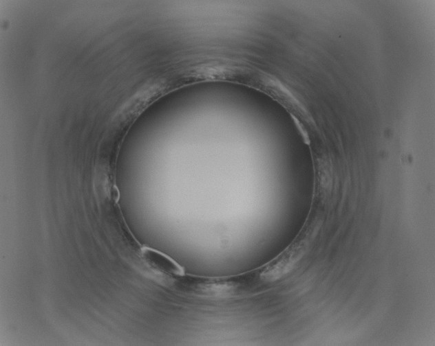 X0000074280313200609081833