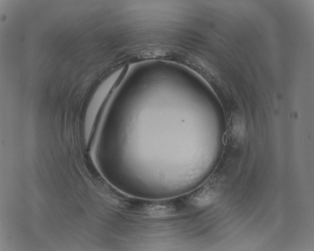 X0000074280315200609081833