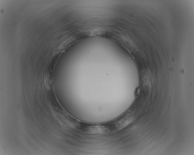 X0000074280316200609081833