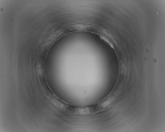 X0000074280317200609081833