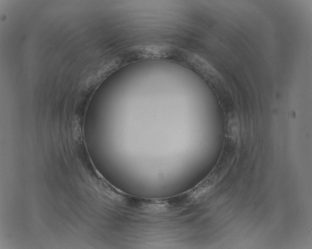 X0000074280318200609081833