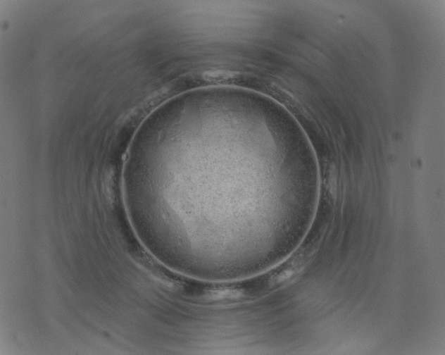 X0000074280319200609081833