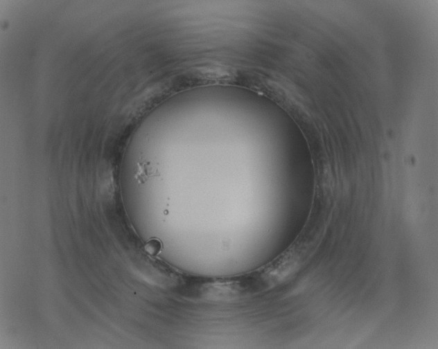 X0000074280320200609081833