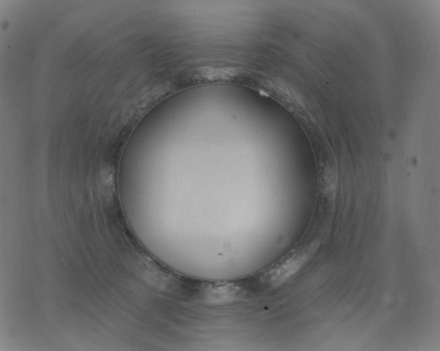 X0000074280321200609081833