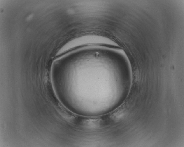 X0000074280323200609081833