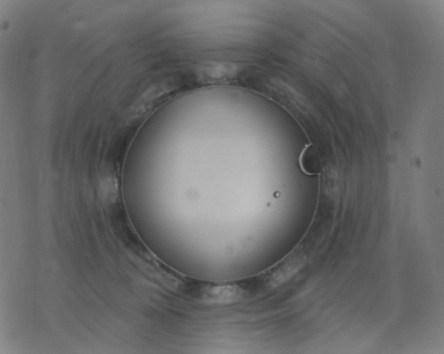 X0000074280324200609081833