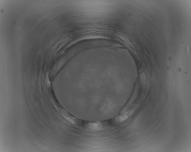 X0000074280325200609081833