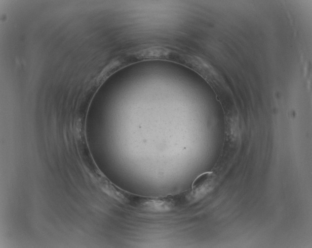 X0000074280326200609081833