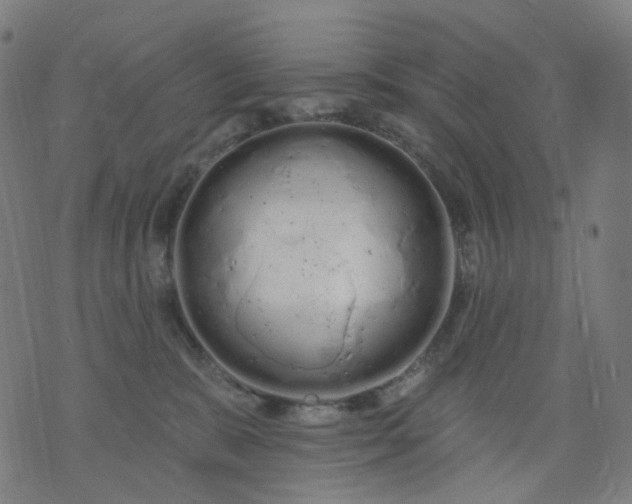 X0000074280327200609081833