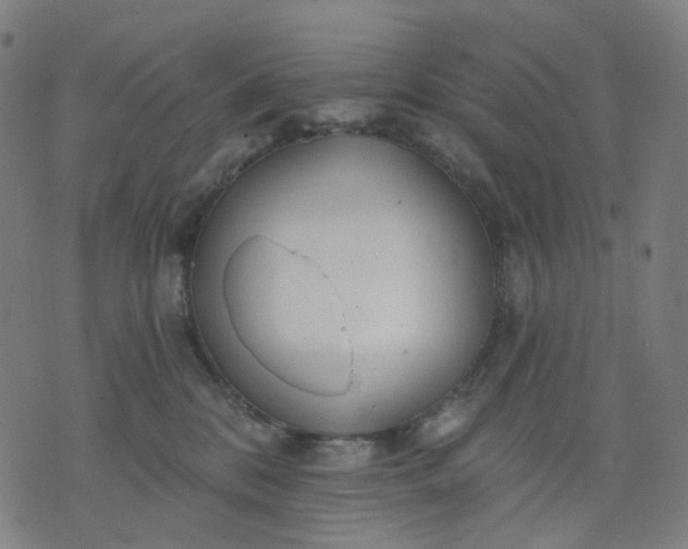 X0000074280328200609081833