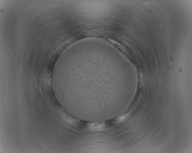 X0000074280331200609081833