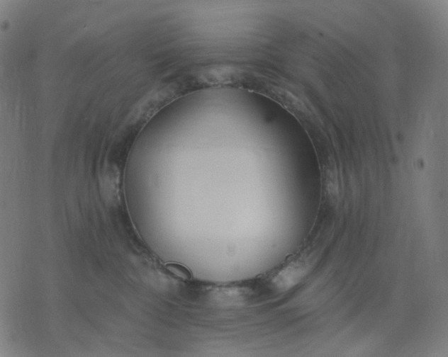 X0000074280332200609081833