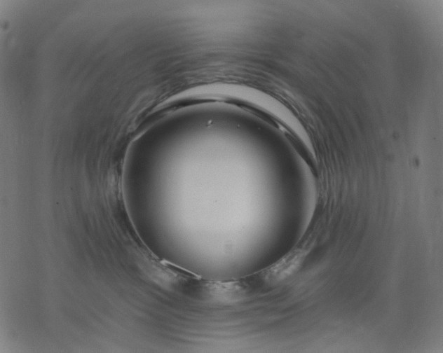 X0000074280333200609081833