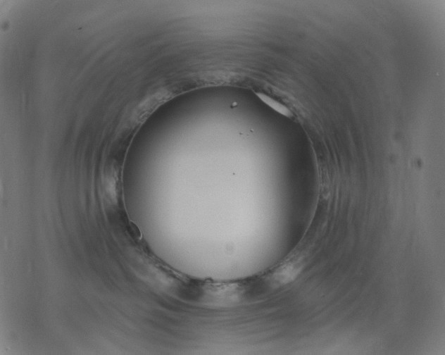 X0000074280334200609081833