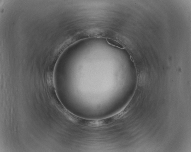 X0000074280335200609081833