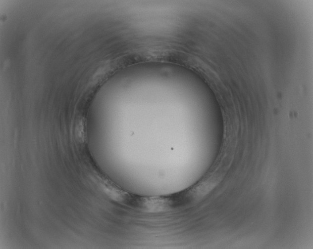 X0000074280336200609081833