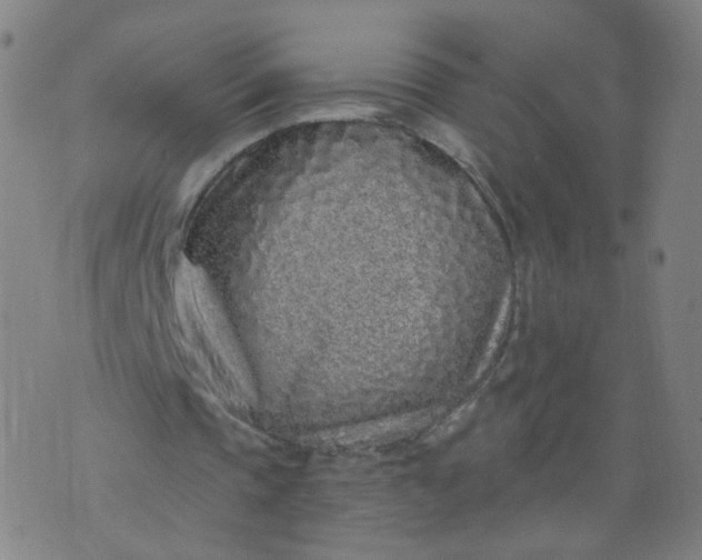 X0000074280337200609081832