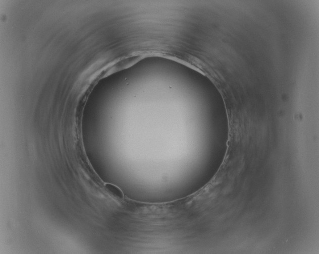 X0000074280338200609081832